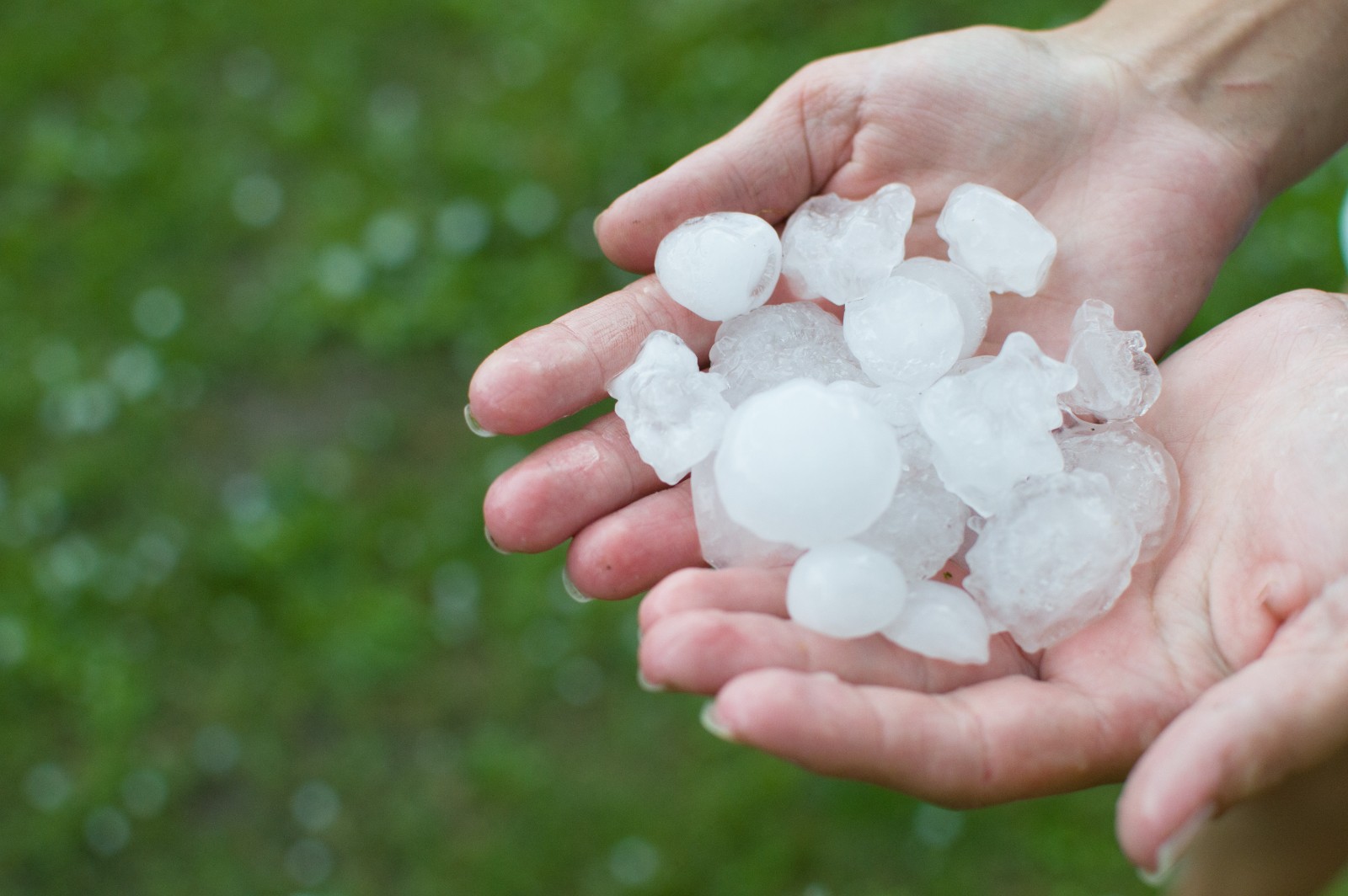 Does Insurance Cover Hail Damage to Your Car and Home?